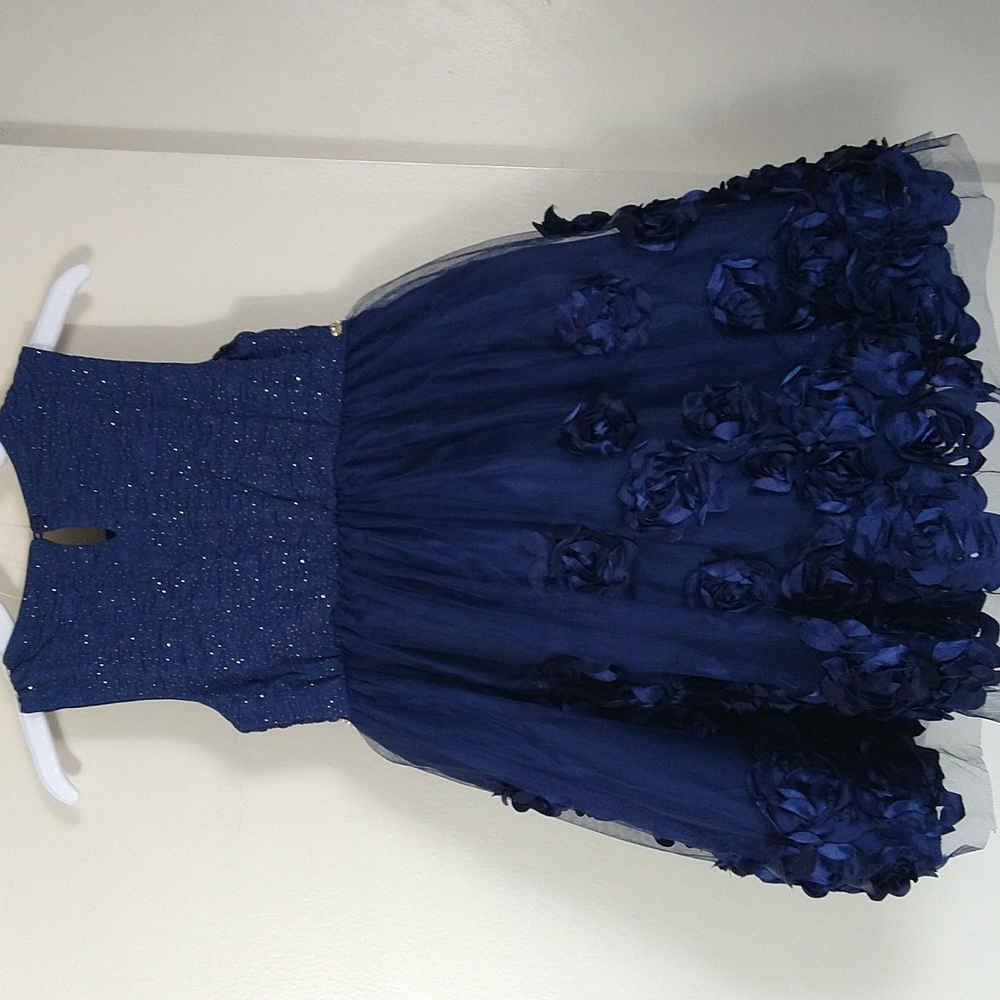 Flower girl dress sleeveless embroidered tulle sparkly dress size 5 - Picture 3 of 14
